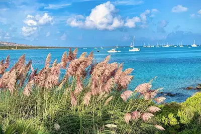 Image de Wonderful Charming Apartment in front of the sea
