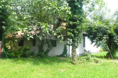 Image de flaviana's house