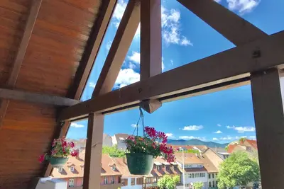 Image de Coquet appartement climatisé 3* Colmar centre Terrasse & vue et Parking privé