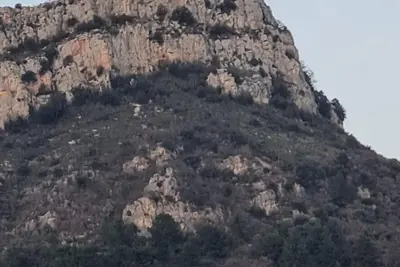 Image de Appartement spacieux avec terrasse idéal pour une famille! Proche centre ville