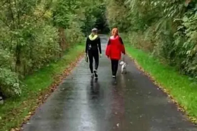 Image de 2 Bedr00m Apt-Etobicoke-Spacious & Bright