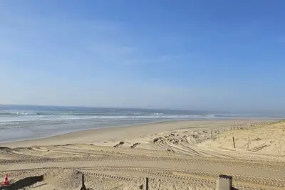 Image de Seignosse Appartement lumineux face dune T3 balcons  Plage  Penon front de mer