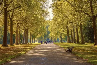 Image de Elegant 1-Br Retreat in Ilford Centre\n