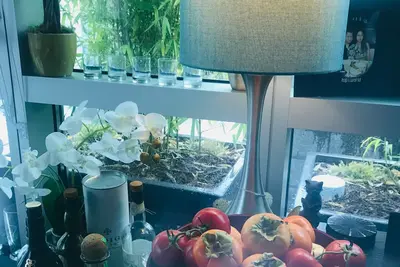 Image de Elegant 2b/2ba fully furnished apartment in SanFrancisco overlooking BayBridge.