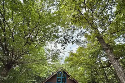 Image de Cozy Vermont Chalet- Nature, Comfort & Adventure. Snuggled on top of Chimney Hill