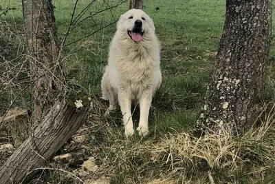 Image de gite lasterenborda