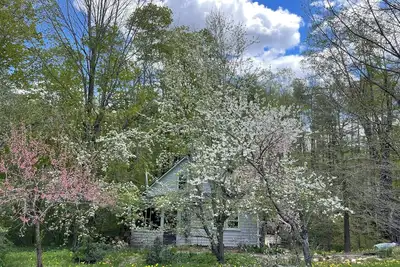Rustic cottage on brook