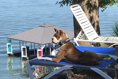 Image de Kentucky Lake House With That Million Dollar View!