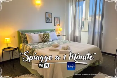 Image de [Plages à 1 min] Wi-Fi Free • Disney Plus • Clima
