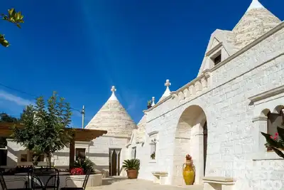 Image de Cycas Trullo