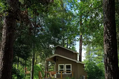 Image de Escape to the Canopy: Enchanting Treehouse Retreat in the Heart of Nature