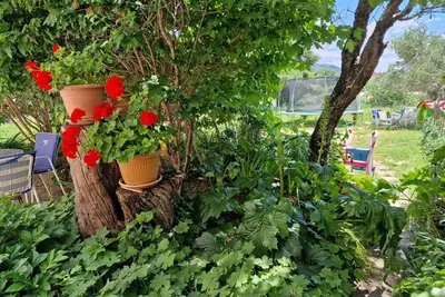 Image de Appartement de trois chambres avec la terrasse Mundanije, Rab (A-22552-a)
