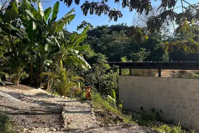 Modern House with Jungle Sunset View