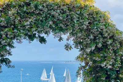 Image de Eden Sea