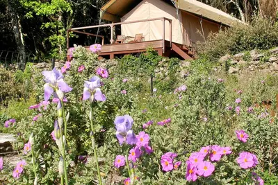 Image de Superbe maison à Goudargues avec WiFi