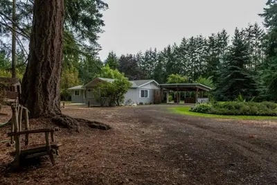 Image de Sleepy Sasquatch Acres