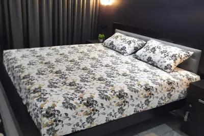 Image de Modern and stylish newly built house in quiet environment.