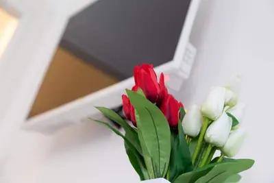 Image de Marco's House by Home080