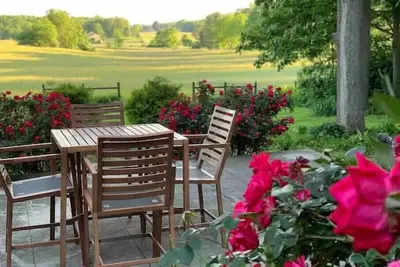 Image de Scenic Blue Ridge Sanctuary with smoking and vaping strictly restricted inside