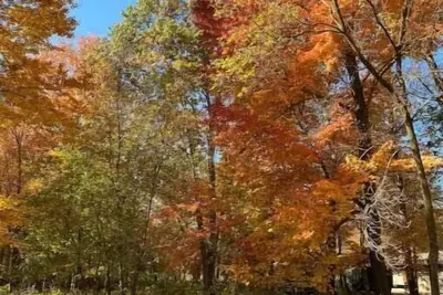 Image de Secluded Spa-cious Retreat -Beds for 8. Plus 3 foldaways extra