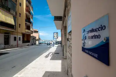 Image de Cavalluccio Marino, Appartamento nel Centro di Bisceglie a due Passi dal Mare