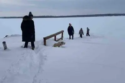 Image de The Crown LakeFront