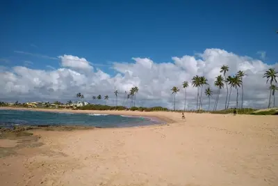 Image de Motorhome em uma das Melhores Praias do Litoral Norte da Bahia