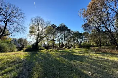 Image de Diamond Glamping - Treehouse