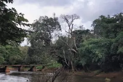 Image de Coffee Ranch Coorg Nature Friendly Cottage