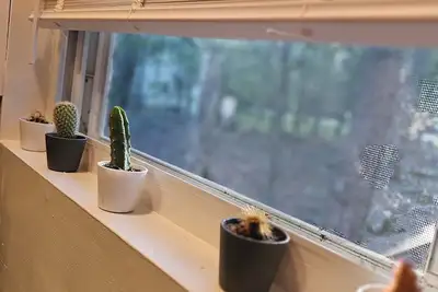 Image de Pocono's Cabin