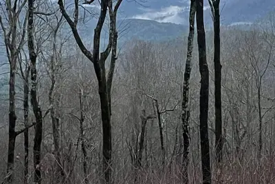 Image de 600-Cozy Rv in Awesome Marietta with WiFi, Ac