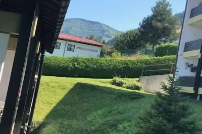 Image de Bel appartement à Steibis