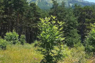 Image de Au cœur de la station, Logement  T2 de 44m2 _ station Montclar Les deux vallées