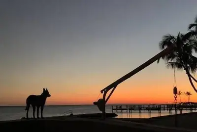 Image de Rustic Beach House in the ❤️ of Islamorada.