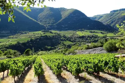 Image de Appartement spacieux et confortable au sein d'un village plein de charme!