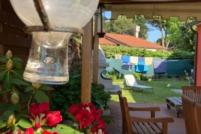 Image de CĂ Lio Grando_house with garden between Lagoon and Sea a few minutes from Venice!