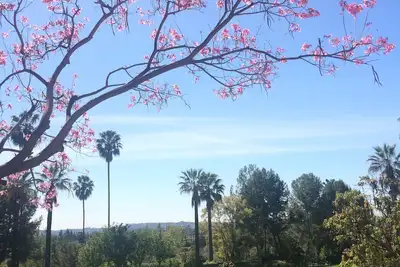 Image de Private cottage at 5 star Resort 2 Room 3 Bath, Kitchen, parking