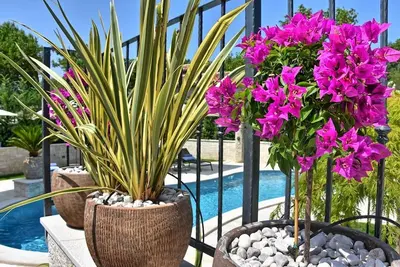 Image de A country 5 stars villa Zita