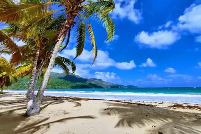 Image de Paradise by the Sea, Playa Coson, Villa with Pool and Bungalow, 9, New List Discount
