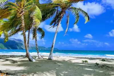 Image de Paradise by the Sea Tropical Private Pool Villa, Playa Coson, 6, New List Discount