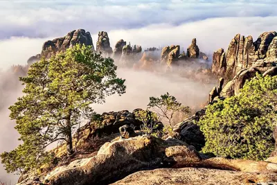 Image de Comfortable & tastefully furnished apartment with balcony and shared use of the garden