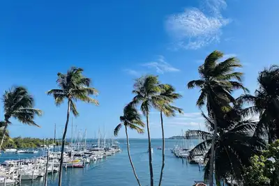 Image de Luxury\/Cozy 1-bedroom apartment in adorable Marina View Isleta Marina, Fajardo