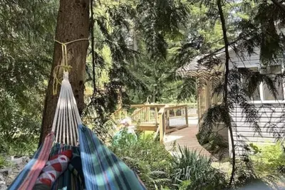Image de Peaceful home in the trees by the ocean