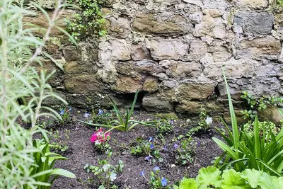 Image de New 2024! - Your Private Garden Apartment Near Sea