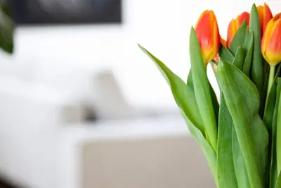 Image de Wohnen im Traumhaften Penthouse