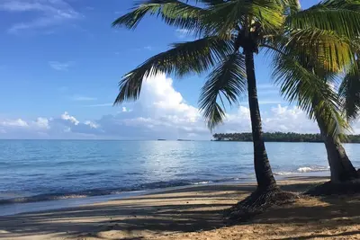 Image de Cosy Apt 400m plage Las Ballenas, bars, restos