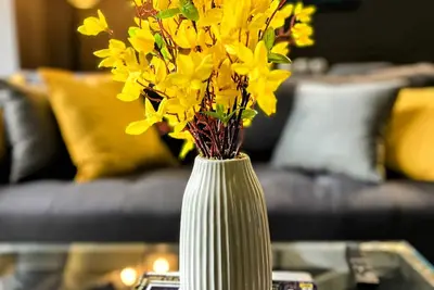 Image de Luxurious Retreat close to Dc 3 Beds