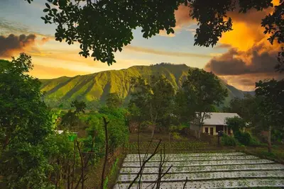 Image de 5 minutes walk to the gate of the Rinjani Mount Trekking Centre in Sembalun.