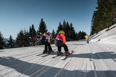 2ème étage, balcon, parking, télévision, casier à ski, 25m², Châtel