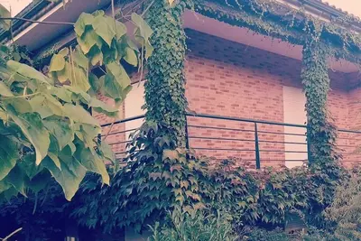 Image de 🌿 Casa com Raízes e História. É Casa com Alma. É Refúgio Para Quem nos Visita